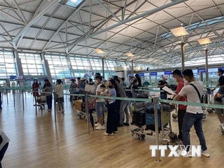 Đưa 140 công dân Việt Nam từ Trung Đông và châu Phi về nước