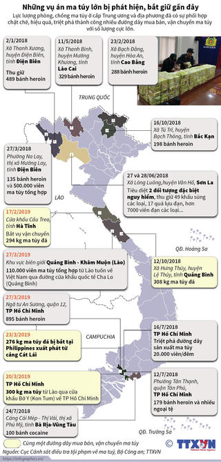 [Infographics] Những vụ án ma túy lớn bị phát hiện, bắt giữ gần đây
