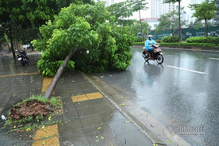 Hà Nội mưa lớn, đề phòng lốc sét và gió giật mạnh