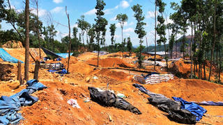 ‘Vàng tặc’ đại náo Bồng Miêu