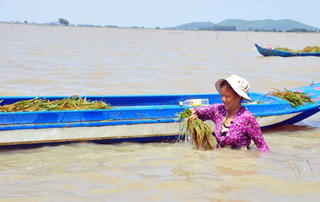 Mùa này chạy lũ