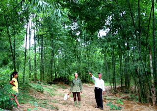 Người cao tuổi xứ Thanh làm kinh tế giỏi