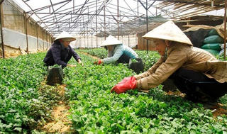 Gỡ cơ chế để kéo doanh nghiệp về nông thôn