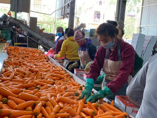 Chuyển đổi số: Khơi thông điểm nghẽn trong nông nghiệp