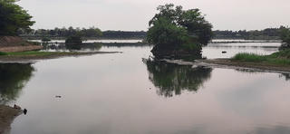 Hồ điều hòa gây ô nhiễm
