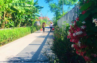 Độc đáo 'Đường hoa mùa xuân' từ nhựa tái chế