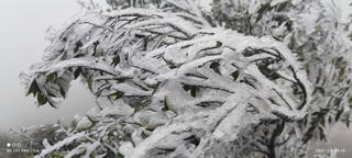 [ẢNH] Băng tuyết xuất hiện trên đỉnh Cao Ly (Quảng Ninh)