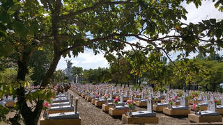 Trước những nấm mồ