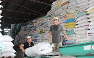 Thi sáng tác logo thương hiệu quốc gia gạo Việt Nam
