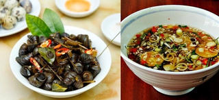 Những ai không nên ăn ốc?