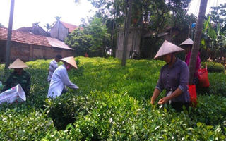 Ưu tiên tín dụng cho đồng bào dân tộc thiểu số