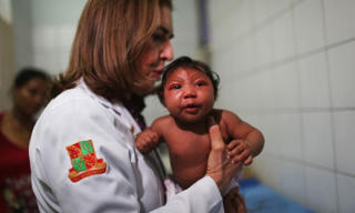 Zika vẫn diễn biến phức tạp