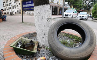 Mất cảnh giác với Zika