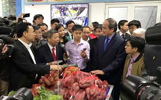 Khai trương chuỗi siêu thị nông sản, thực phẩm an toàn Việt Nam