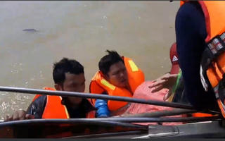 Tản mạn mùa lũ 