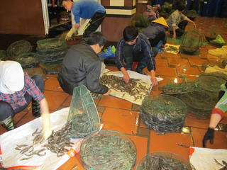 Xuyên đêm đi giám sát an toàn thực phẩm