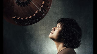 Ngô Hồng Quang kể chuyện ‘Tình đàn’