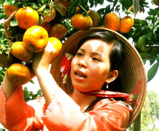 Tăng cường liên kết trong sản xuất