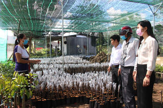 Hậu Giang: Liên kết để phát triển nông nghiệp đô thị