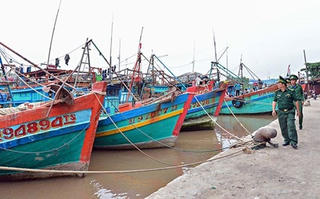 Màu xanh trở lại