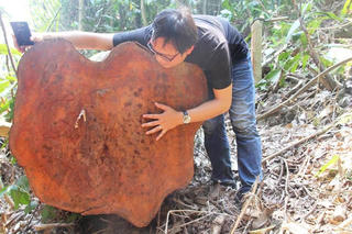 Vào rừng sâu Bắc Trà My, chứng kiến ‘đại công trường’ xẻ gỗ