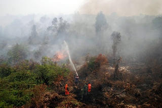 Cháy rừng ở Indonesia giảm nhiệt