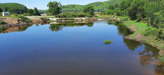 Nghệ An: Yêu cầu trại lợn khẩn trương khắc phục ô nhiễm