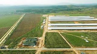 Siêu dự án trang trại của Vinamilk tại Lào sẽ ‘cho sữa’ vào đầu năm 2022