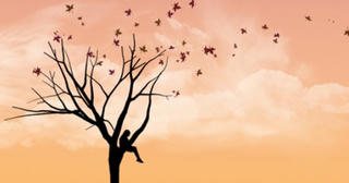 Yêu cả trong những nỗi đau