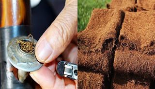 Co giật toàn thân, ngã đập đầu vì hút thuốc lào