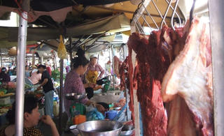 Mạnh tay loại bỏ chất cấm trong chăn nuôi