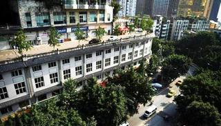 Kỳ lạ đường giao thông trên nóc tòa nhà