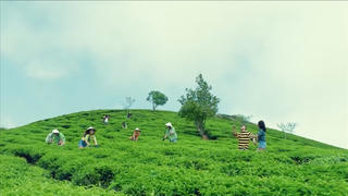 MV “Bình yên những phút giây” của Sơn Tùng M- TP đại náo âm nhạc mùa Hè