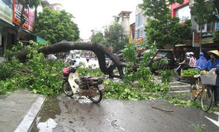 Thi công ẩu