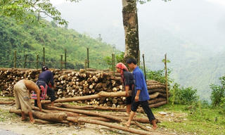 Gió mới ở một miền nghèo