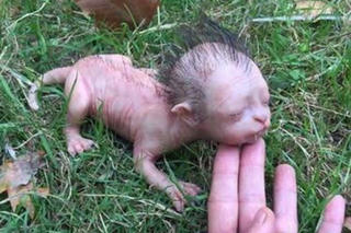 Chuyện lạ đó đây  (22/10)