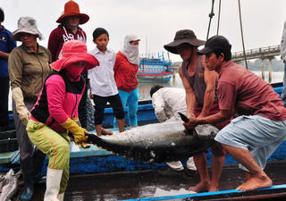 Nỗ lực gỡ thẻ vàng