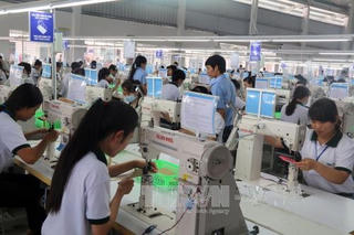 Công ty Việt Nam trả lương thấp hơn so với công ty nước ngoài