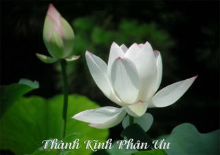 Lời chia buồn