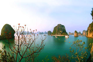 Quảng Ninh: Cú hích 500 tỷ phục hồi ngành du lịch