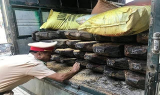Thừa Thiên – Huế: Phát hiện số lượng lớn gỗ không rõ nguồn gốc đang đi tiêu thụ