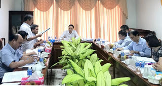 Mặt trận cần tập trung vào những chương trình hành động tạo bản sắc riêng