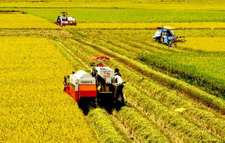 Tìm kiếm cơ hội đầu tư vào Đồng bằng sông Cửu Long