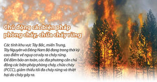 [Infographics] Chủ động các biện pháp phòng cháy, chữa cháy rừng