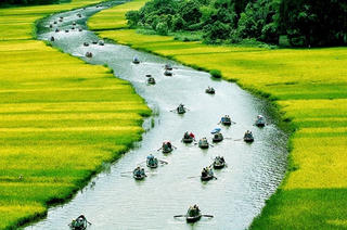 Dòng sông Việt 2016