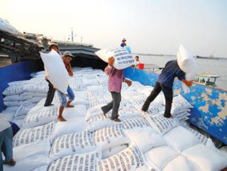 Gạo Việt Nam có thể cạnh tranh với Thái Lan