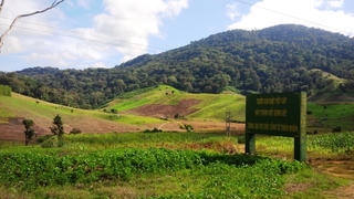 Sai phạm trong quản lý đất rừng, một Công ty lâm nghiệp phải kiểm điểm