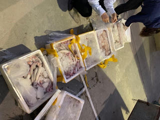 Mua 250 kg cá khoai ướp phóc môn bán ra chợ kiếm lời