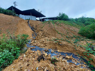 Nhà máy gỗ gây ô nhiễm môi trường