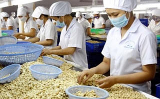 Xuất khẩu nông lâm thủy sản 8 tháng giảm